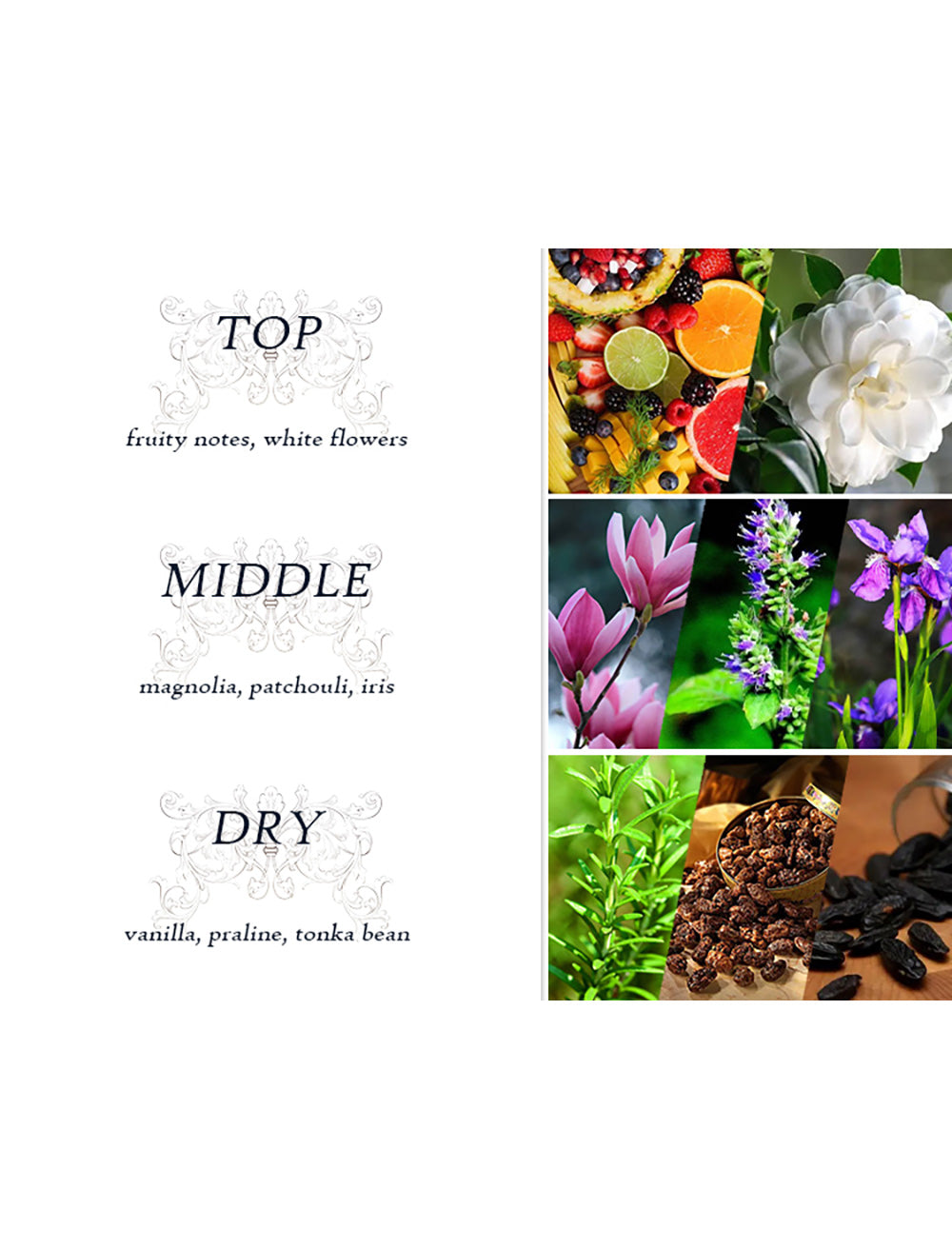 FOREVER NICE | 30ML EAU DE PARFUM